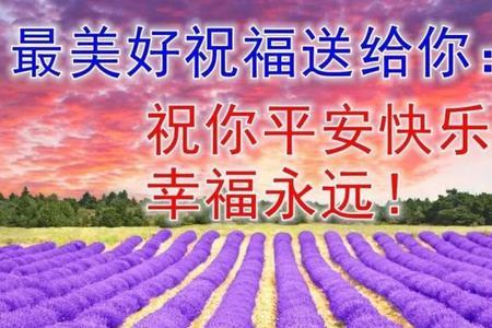 两心早相牵的经典语录