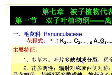 玉兰花的花程式及解释
