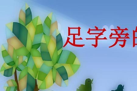 足字旁的彩可以组什么词