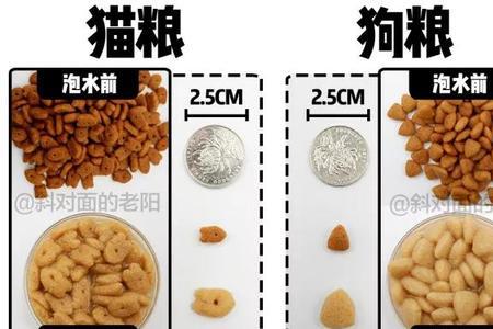 wowo为什么是毒粮