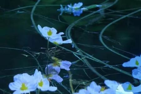 水性杨花渣女下场