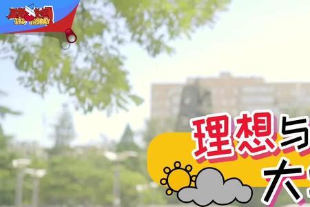 理想是现实的彼岸正确吗