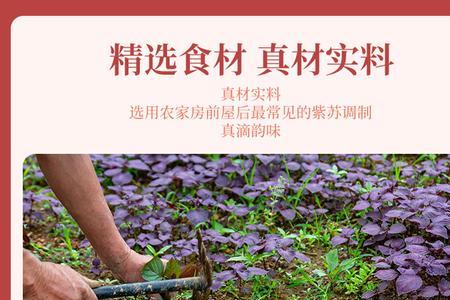 紫苏拌料