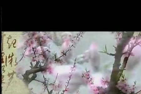桃花又红了歌名