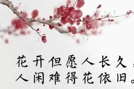 守住寂寞方能守住繁华的意思