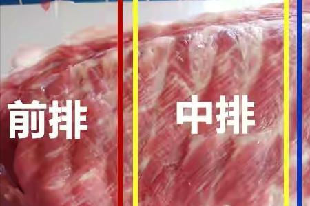 人的肋骨跟猪的肋骨区别