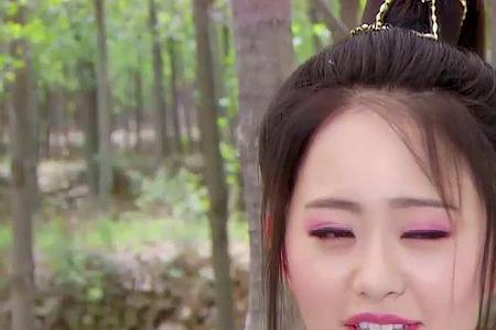 薛刚反唐樊梨花多少集出现的