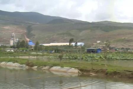 莲藕粉碎可以喂鱼吗