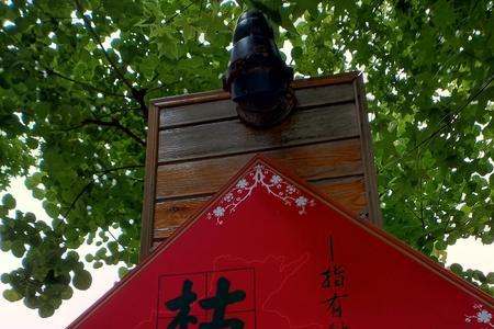 棒嫩河南话是什么意思