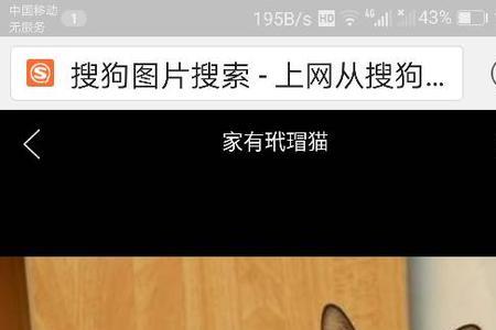 三花玳瑁猫为什么是猫界女神