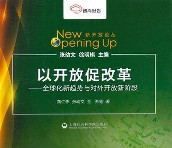 改革进入新阶段指的是什么
