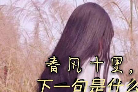聊天春风十里下一句怎么接