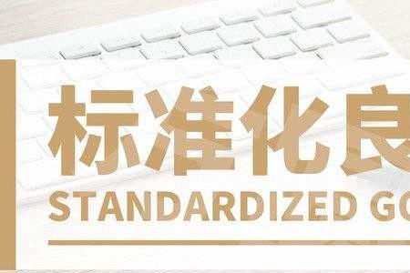 规范化标准化还有什么化