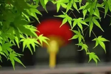 人生如梦似水流年是什么意思呢