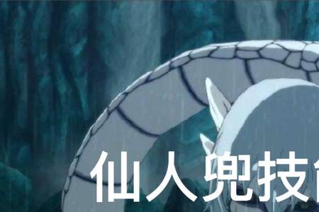 仙人兜什么时候返场