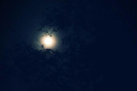 今夜的风有点冷原唱