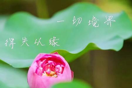 相逢是缘,相知是什么