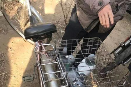 黄巧如何挑选