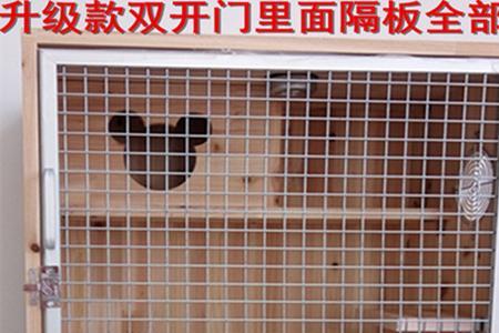 龙猫咬木头笼子怎么办