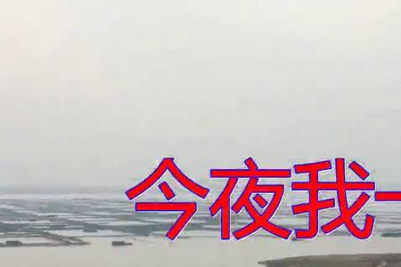 今夜我没醉歌曲原唱