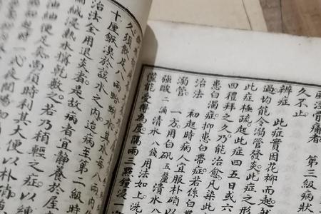 临众发政而治民的临什么意思