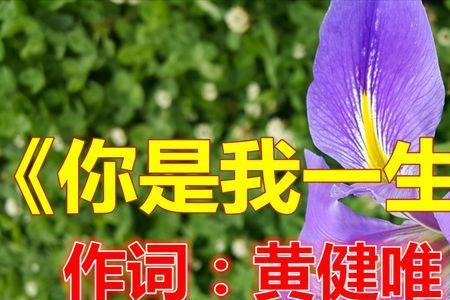 你是我一生最爱的人原唱现场版