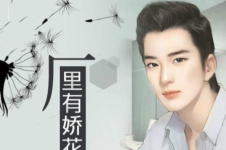 求现代都市的一夫多妻的小说