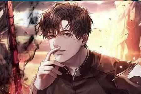 叶辰与何姨是什么小说主角