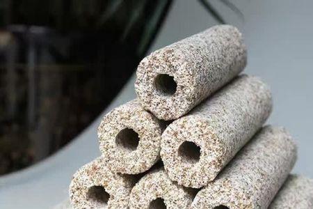 细菌屋买大的还是小的