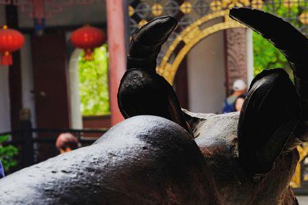 汉阳树全文译文