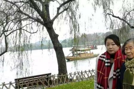 父母半世恩兄妹一世情下句