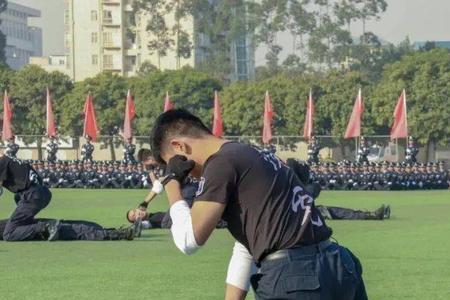 警校体能训练有多累