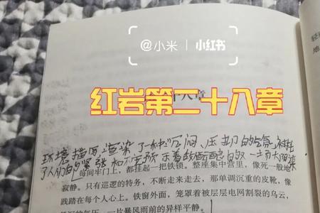 红岩第二十三章批注