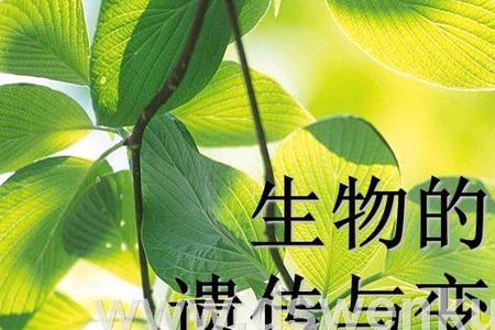 什么是植物的亲代和后代