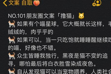 偶遇猫咪的文案