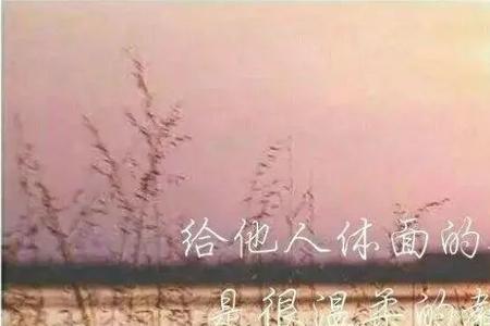愿你善良中带点锋芒下句是什么