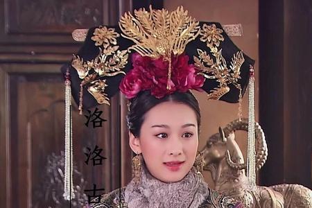 谁有四福晋为主角的小说