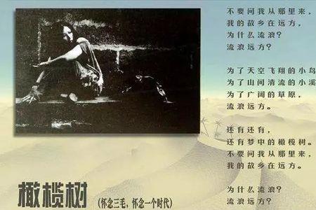 我生命中的橄榄树结局
