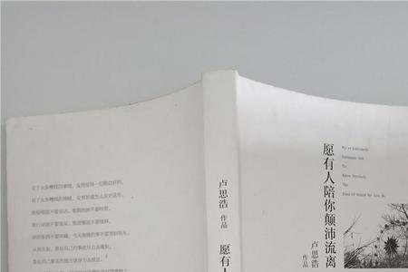 愿有人陪我颠沛流离是什么意思