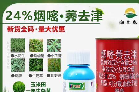 烟嘧莠去津封闭药能种白菜吗