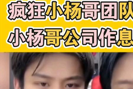 小杨哥是哪个公司的