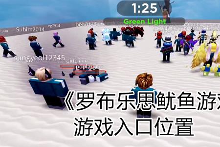 为什么玩不了罗布乐思doors