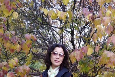 一叶知秋比喻女人什么