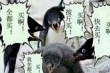 剁手你冲不冲什么意思