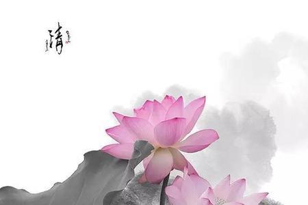 一饮一啄皆由天定什么意思
