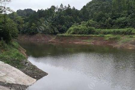 福州南口水库可以钓鱼吗