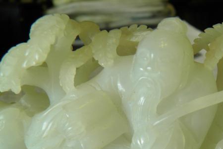 苏料是什么