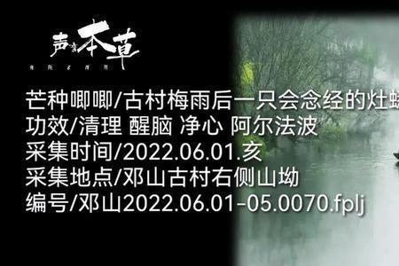 生命为何如此有序