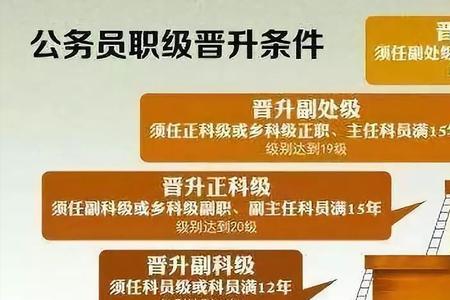 事业单位提拔副县条件