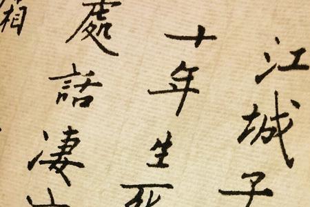 吾生好清净蔬食去情尘意思